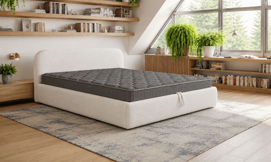 Lova Tedis Oval Dencloud 3